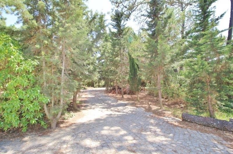 4 bedroom villa and 2 bedroom cottage on large private plot, in Lagos, Algarve
