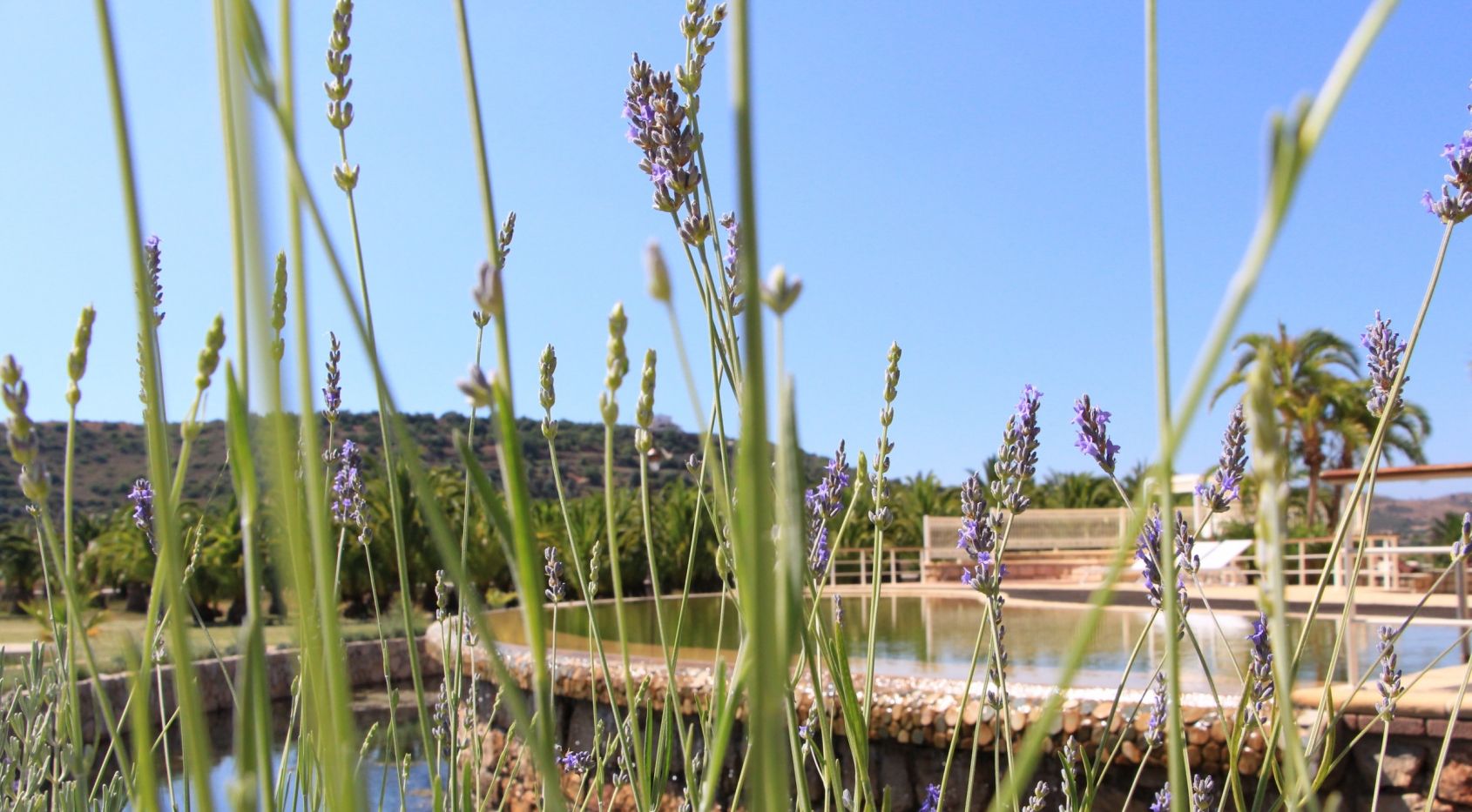 Algarve river front villa with boat access to the Arade river & atlantic ocean in Silves