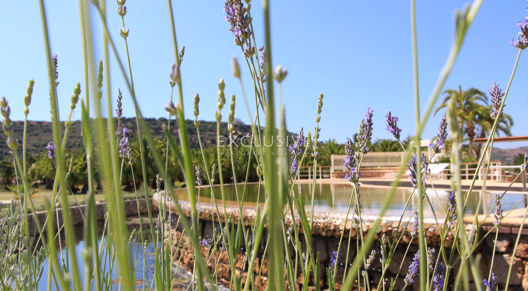 Algarve river front villa with boat access to the Arade river & atlantic ocean in Silves