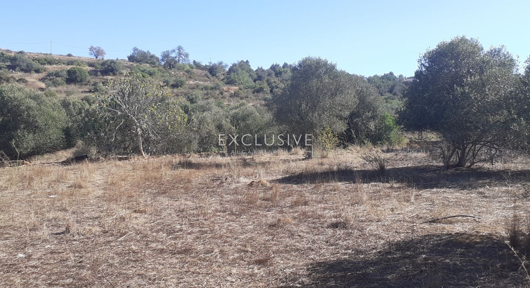 Fantastic plot for construction, Central Algarve