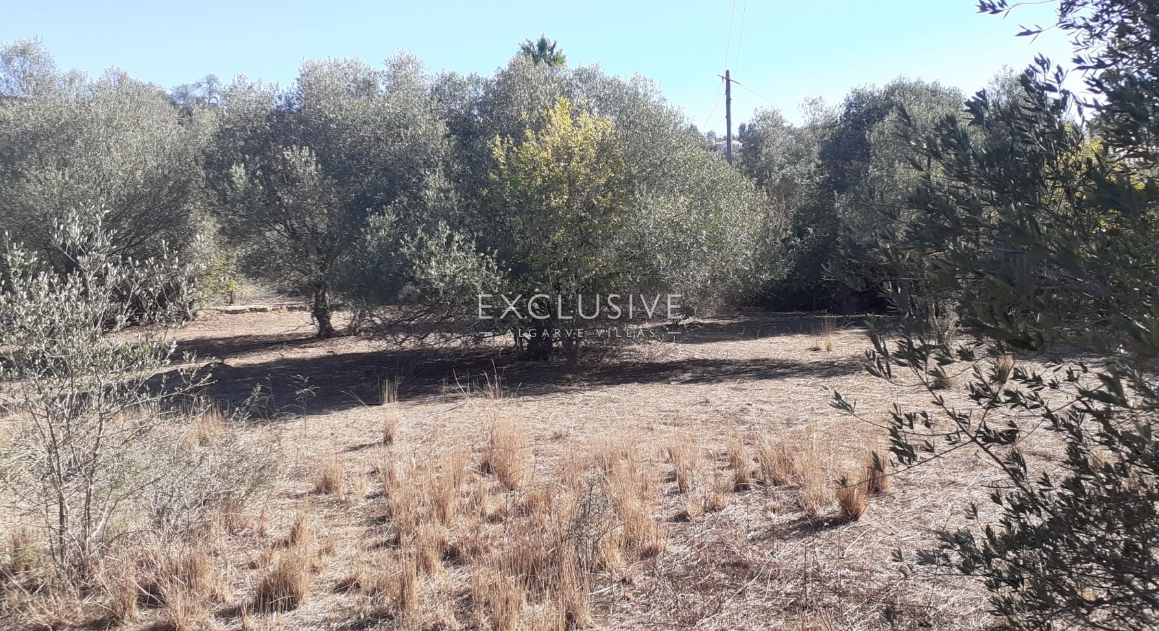 Fantastic plot for construction, Central Algarve