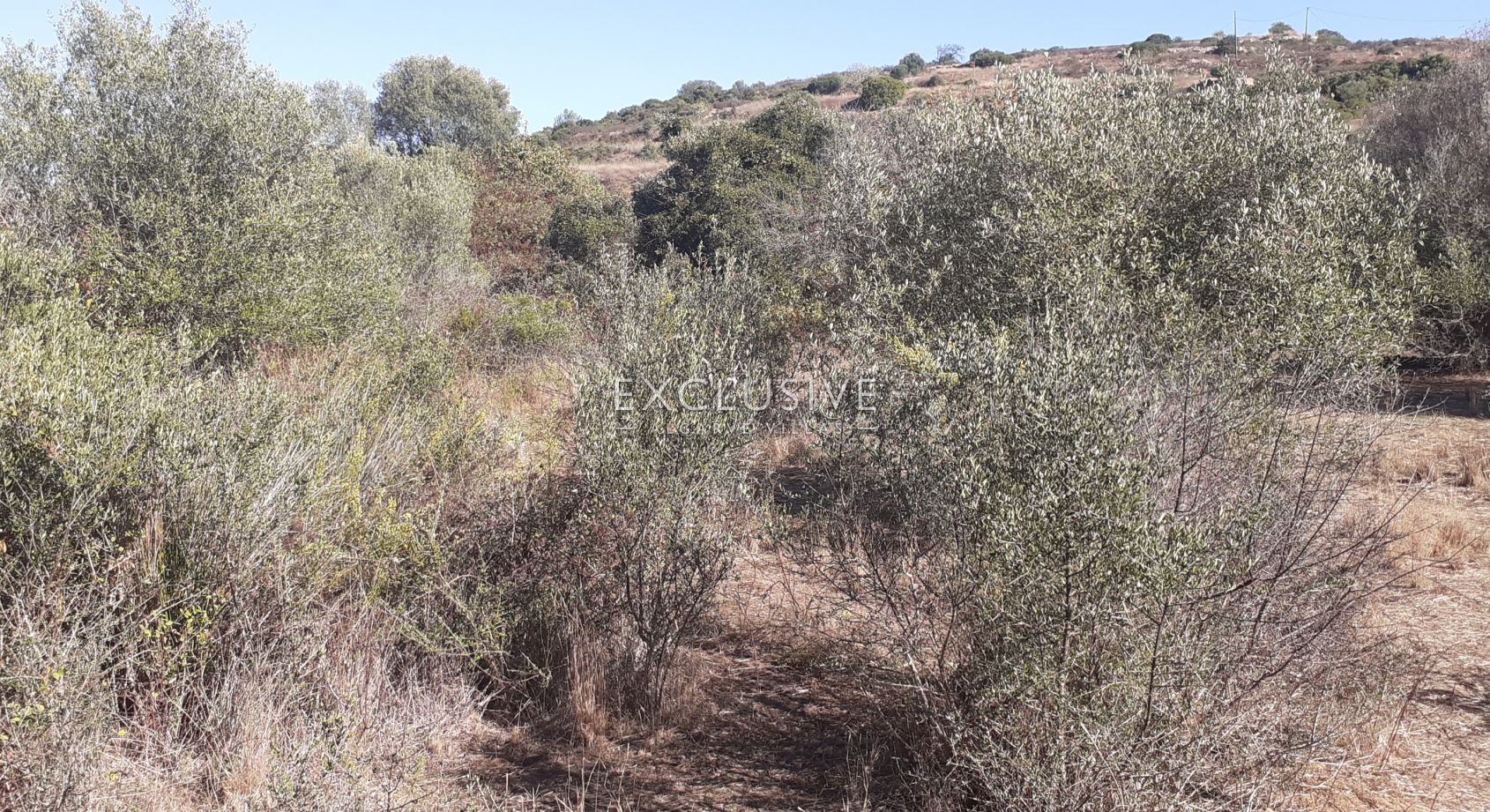 Fantastic plot for construction, Central Algarve