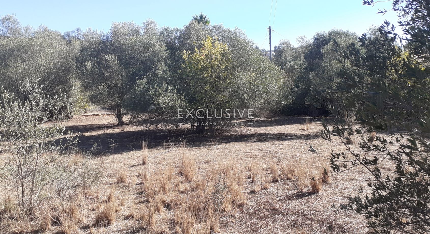 Fantastic plot for construction, Central Algarve