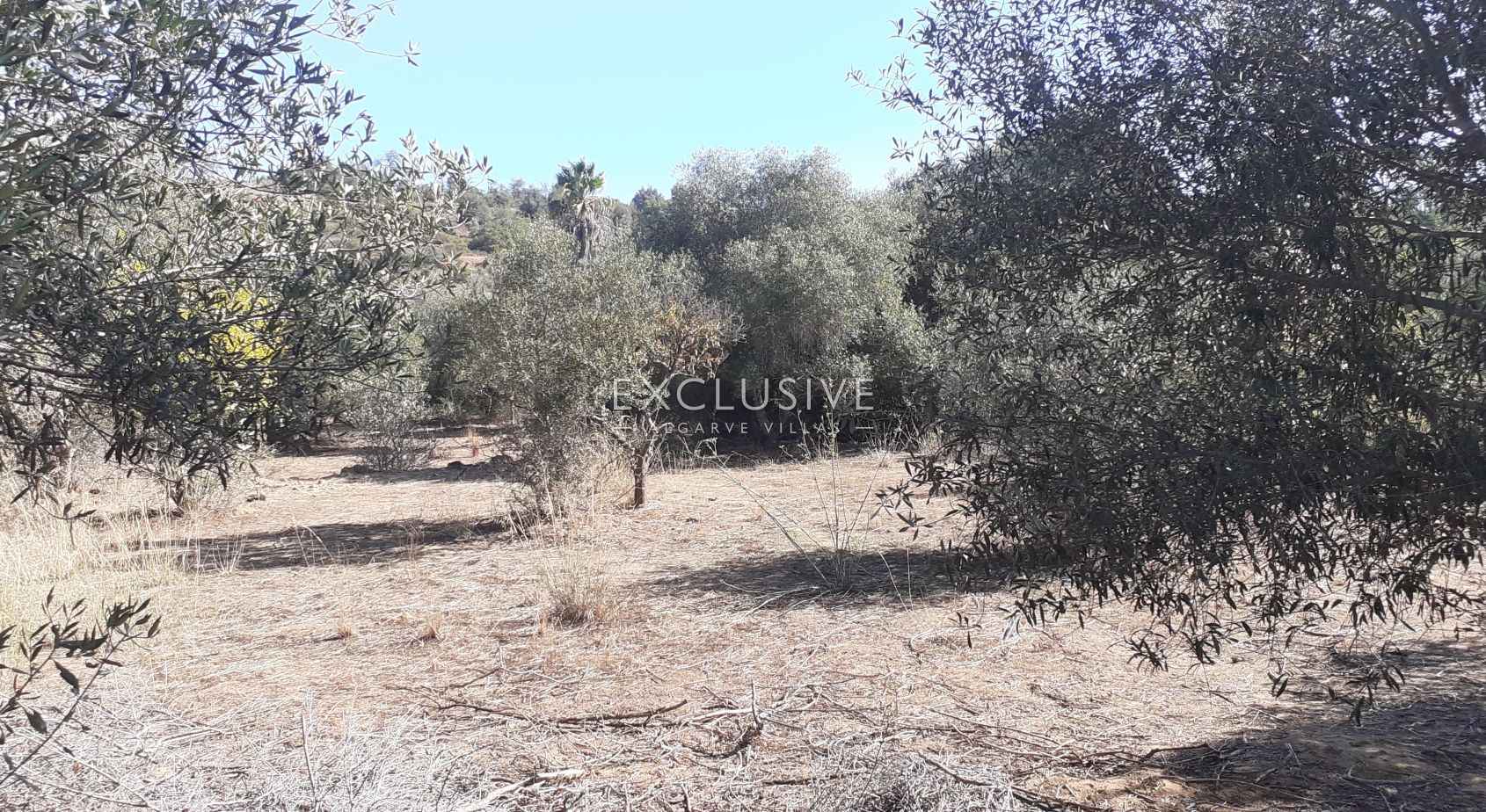 Fantastic plot for construction, Central Algarve