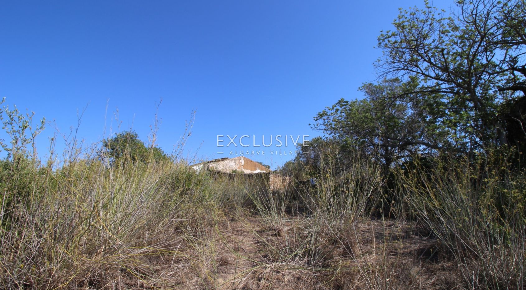 Plot with approved project in Loulé