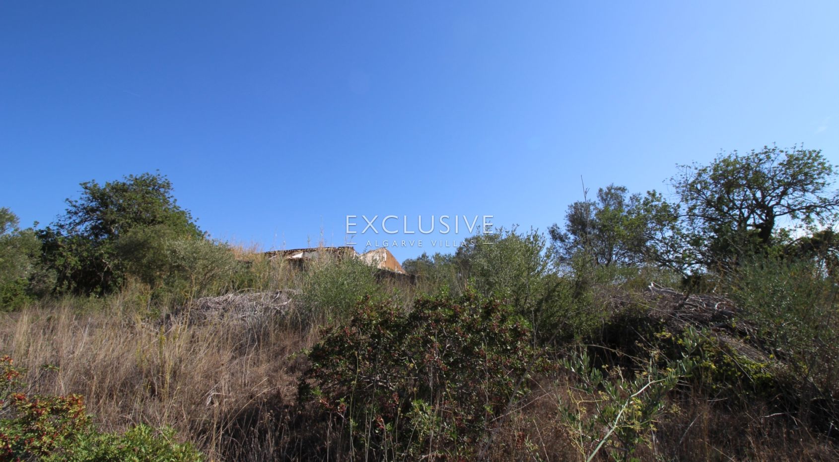 Plot with approved project in Loulé