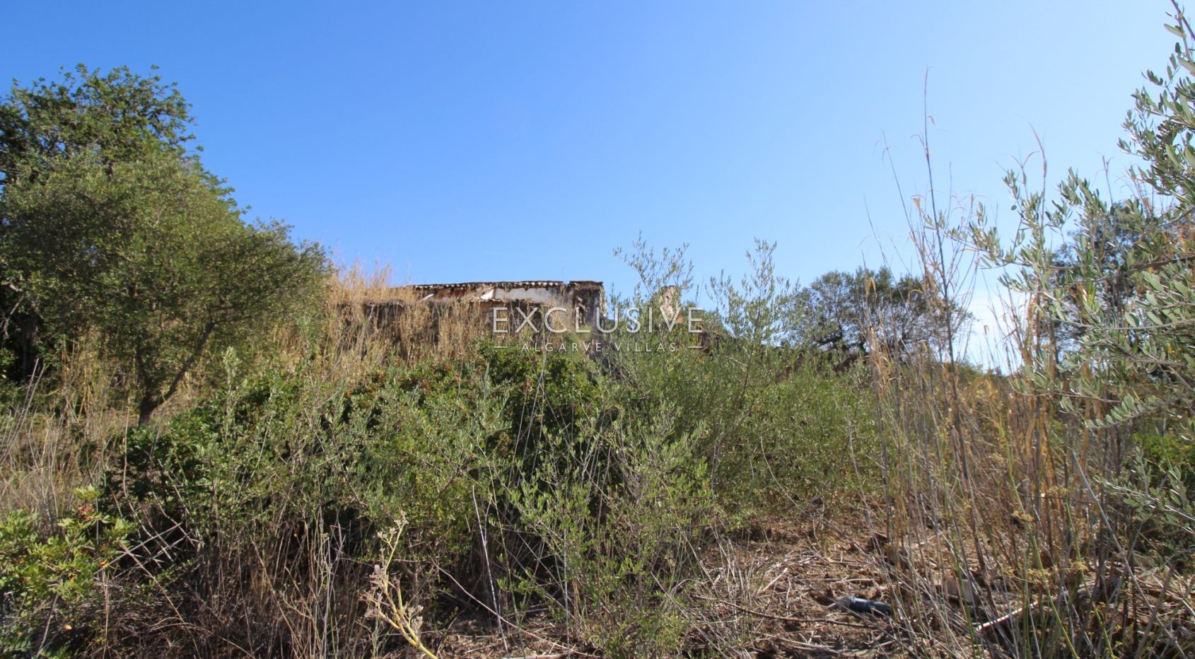 Plot with approved project in Loulé