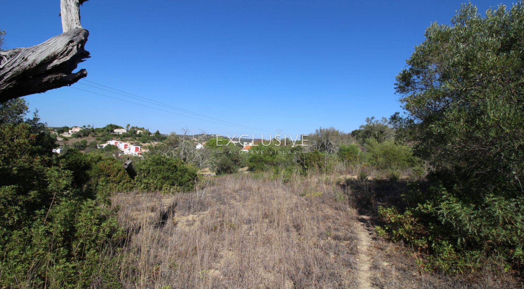 Plot with approved project in Loulé