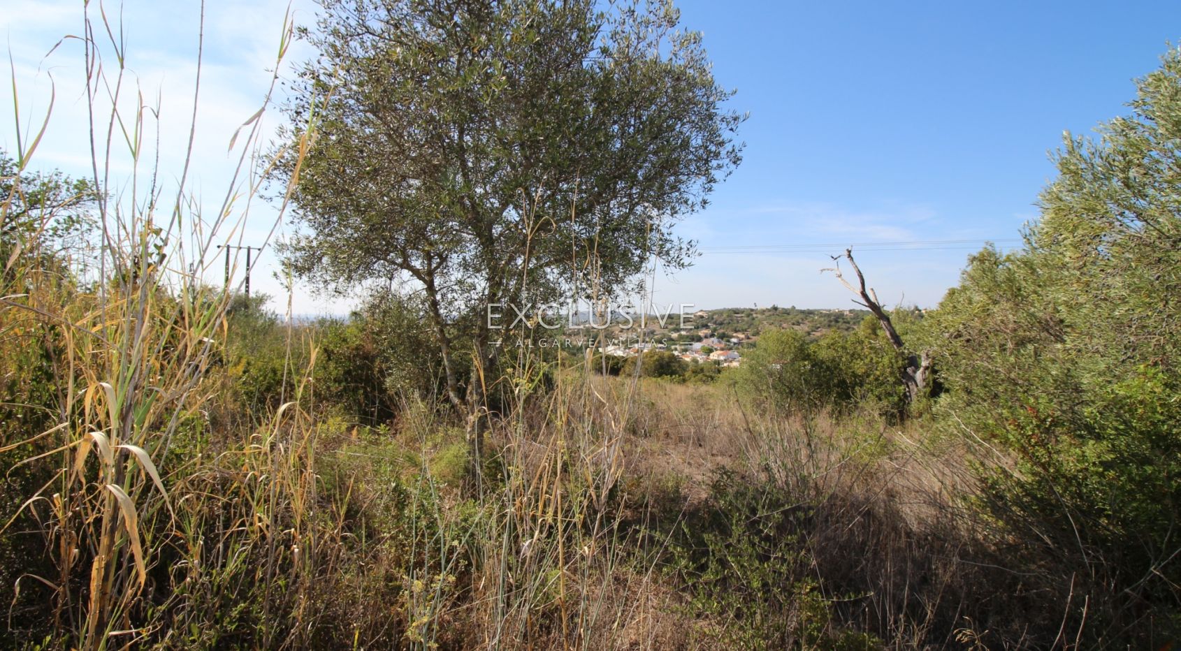 Plot with approved project in Loulé