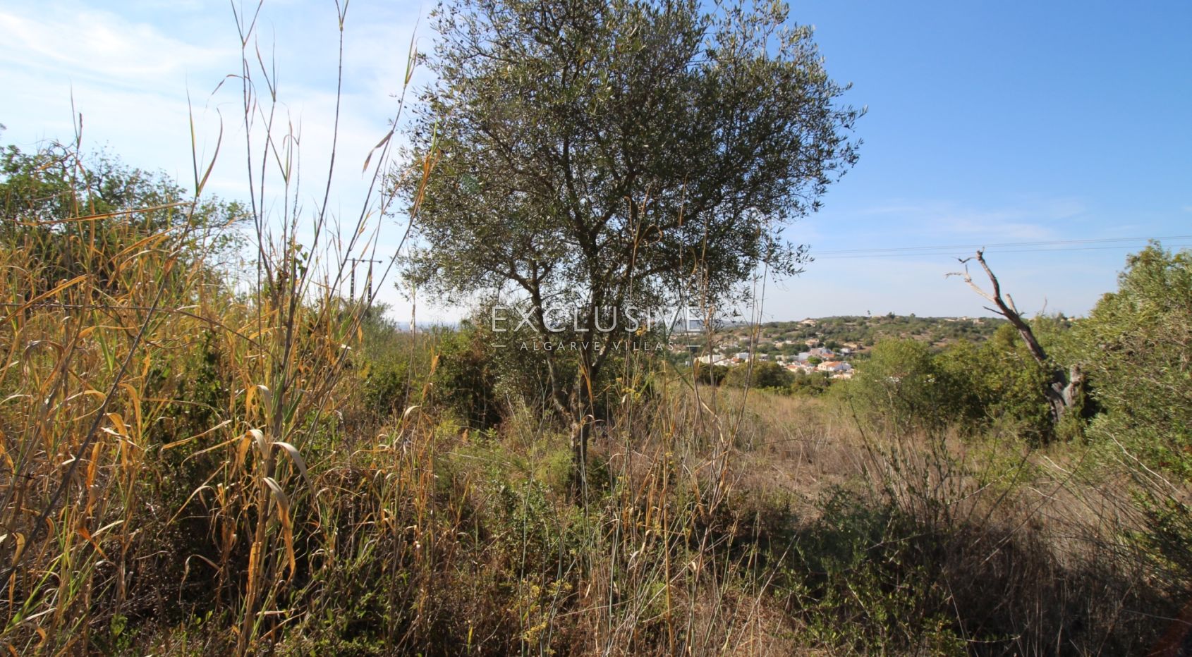 Plot with approved project in Loulé