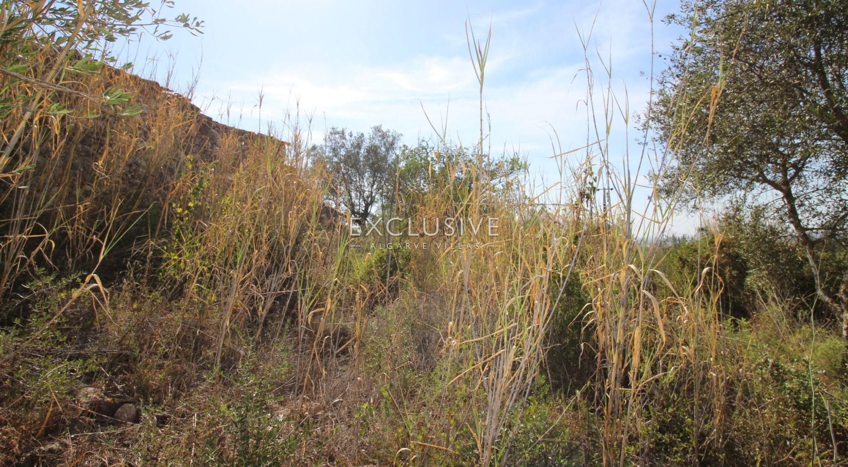 Plot with approved project in Loulé