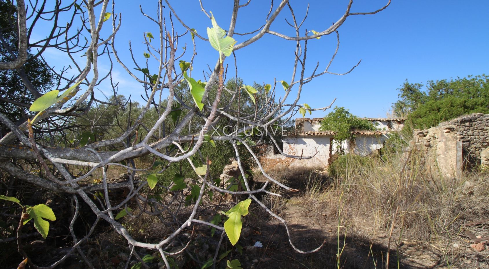 Plot with approved project in Loulé
