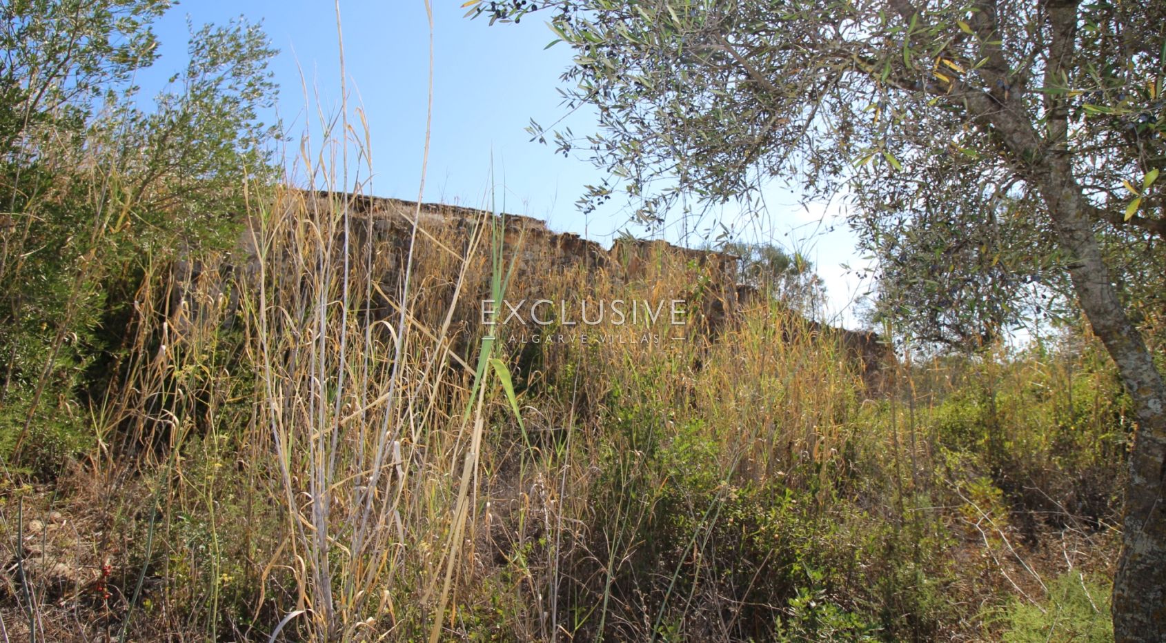 Plot with approved project in Loulé