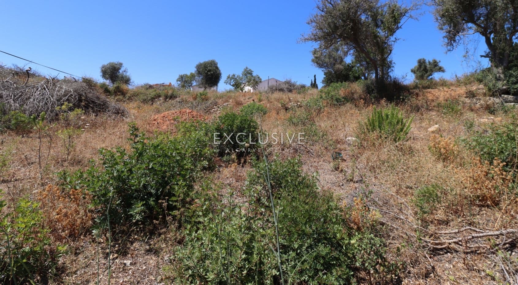 Urban plot for construction of villa near Presa da Moura, Carvoeiro