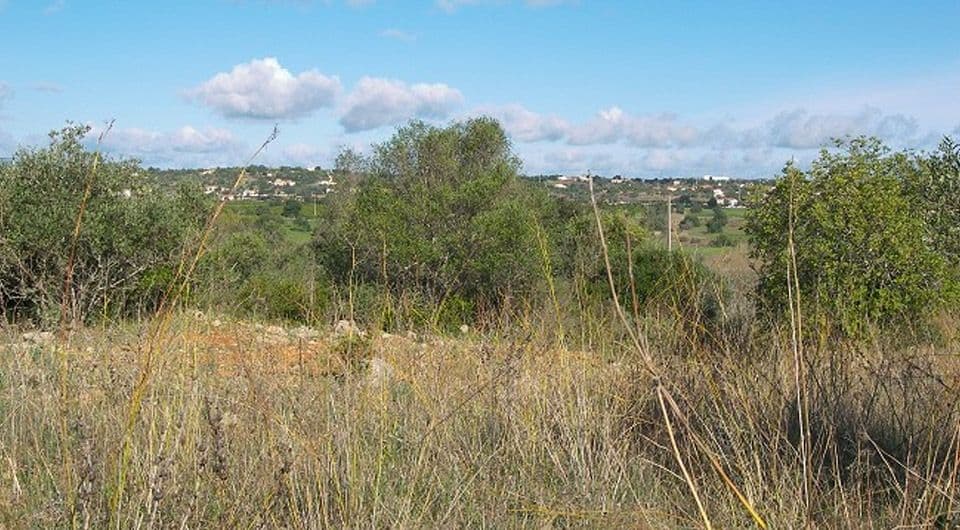 Terrain pres Pera-1