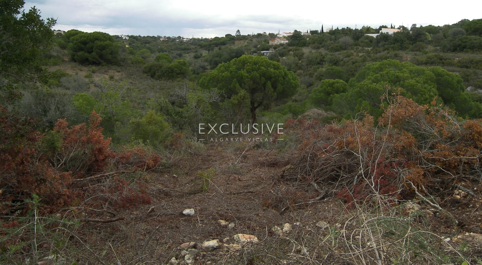 Grundstück mit ruine zum in der Nähe von Pera, Algarve