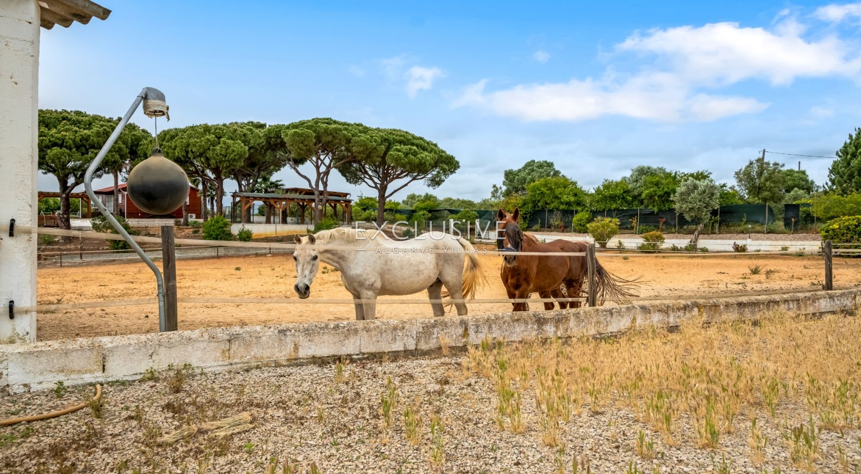 Sie ein Landgut mit Stallungen und Reithalle in der Nähe von Quarteira, Algarve