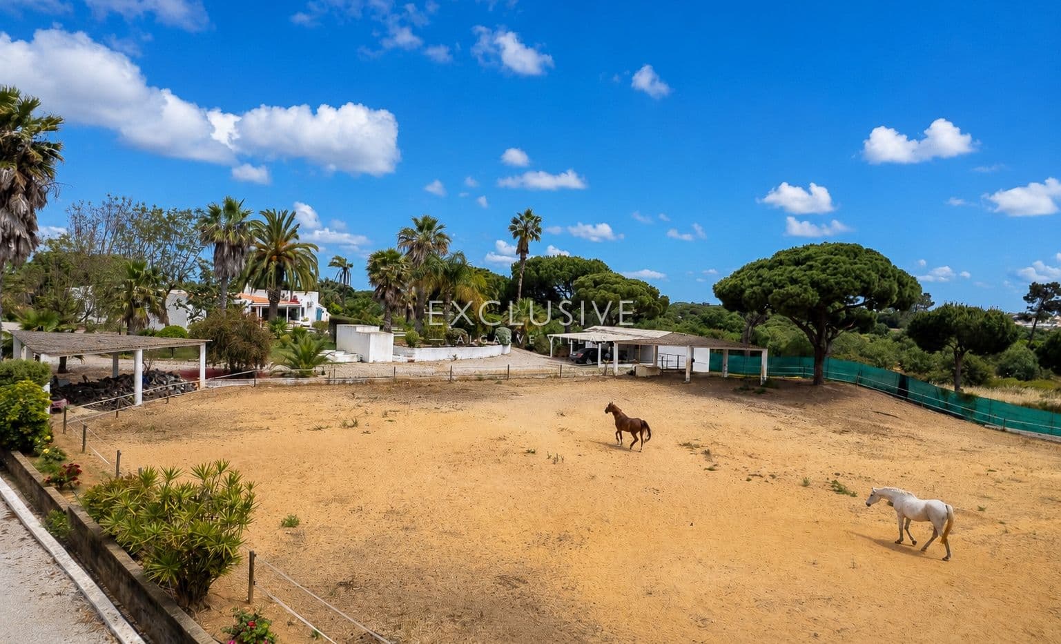 Sie ein Landgut mit Stallungen und Reithalle in der Nähe von Quarteira, Algarve-2