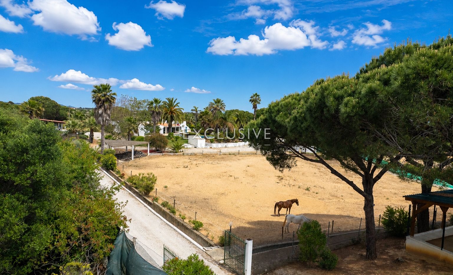 Sie ein Landgut mit Stallungen und Reithalle in der Nähe von Quarteira, Algarve